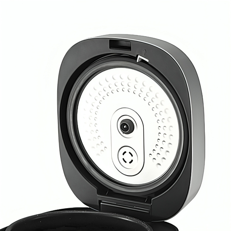 پلوپز بایترون BITRON BRC-D50